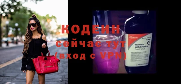 крисы Ельня