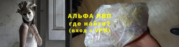 ECSTASY Белокуриха