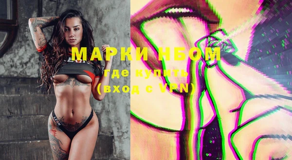 ECSTASY Белокуриха