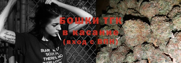 ECSTASY Белокуриха