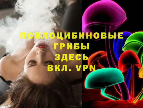 гашик Баксан