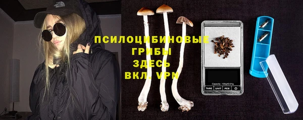 ECSTASY Белокуриха